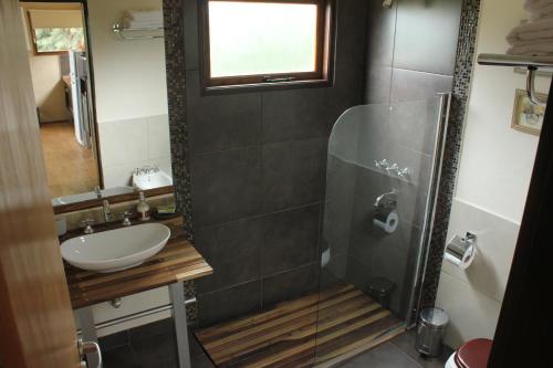 uma casa de banho com um lavatório e uma cabina de duche em vidro. em cabañas Tierra Kamiare 1 em Amboy