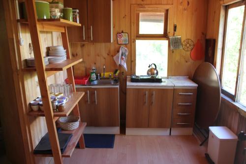 una cocina con armarios de madera y fregadero en una casa pequeña en Conguillio Cabaña Chercan, en Conguillio