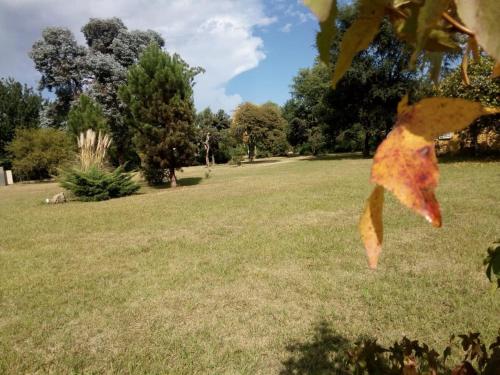 cabañas Tierra Kamiare 1 – Photos 4