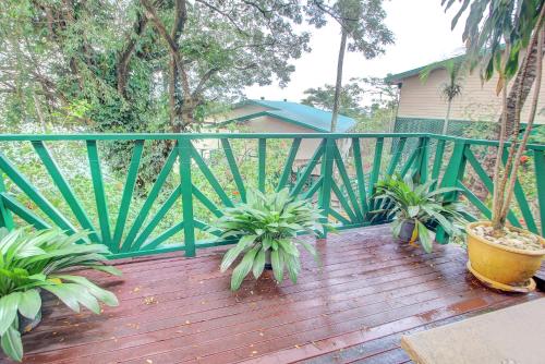 a deck with potted plants and a green fence at King Solomon Hotel in Honiara