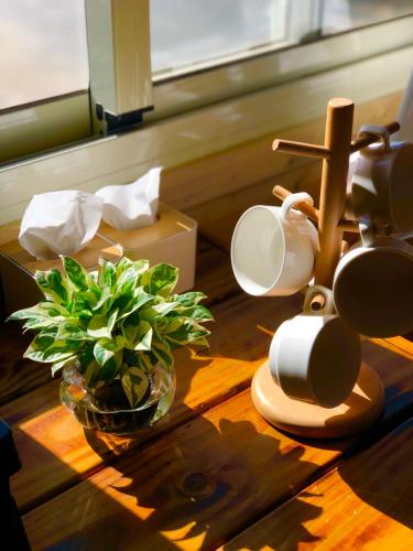 a table with a plant in a bowl and a lamp at Home Box in Renai