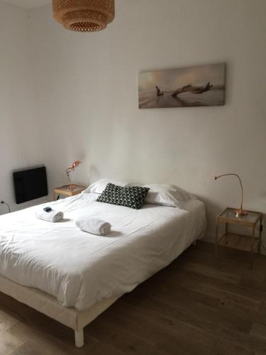 モンペリエにあるCharmant appartement hyper centre Comédieのベッドルーム1室(ベッド1台、タオル2枚付)