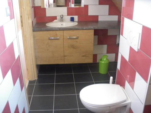 a bathroom with a toilet and a sink at FERME IM-BERG in Metzeral