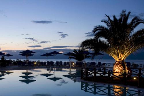 a pool with a palm tree and the ocean at night at Mareblue Beach in Agios Spyridon Corfu