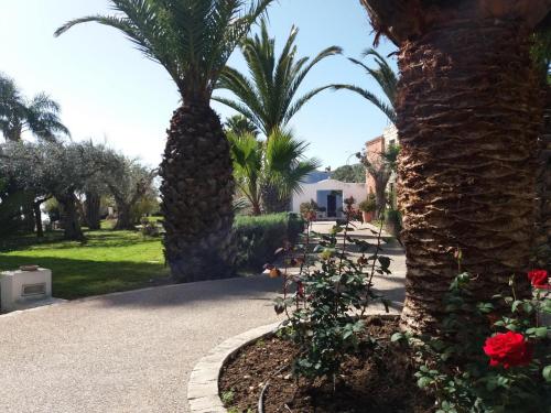 a pathway with palm trees and flowers in a park at Cambiocavallo Resort in Zimmardo