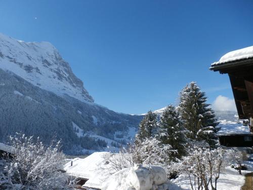 a snow covered mountain with trees and a house at Casa Almis, Grindelwald in Grindelwald