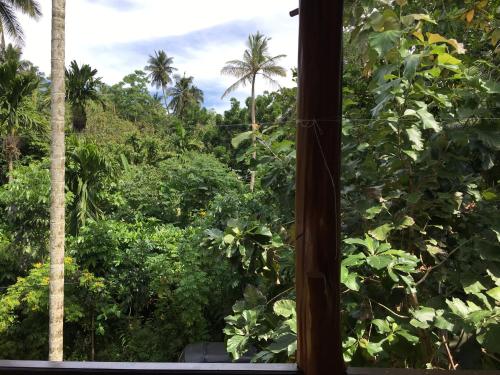 an open window with a view of the jungle at Gold ocean house in Hiriketiya