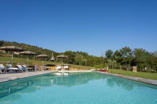 une grande piscine avec des chaises et des parasols dans l'établissement Agriturismo Montelovesco, à Brunetta