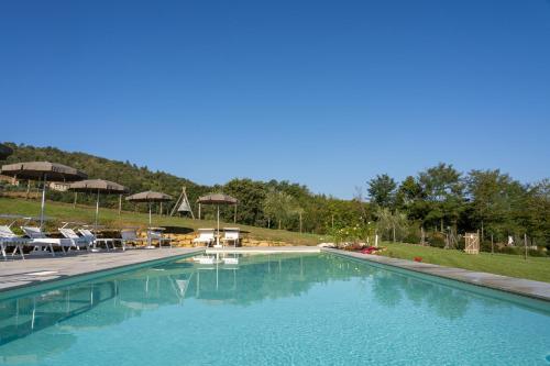 a large swimming pool with chairs and umbrellas at Agriturismo Montelovesco in Brunetta