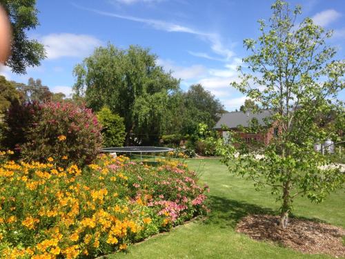 a garden with colorful flowers and a tree at Prom Coast Holiday Lodge in Waratah Bay