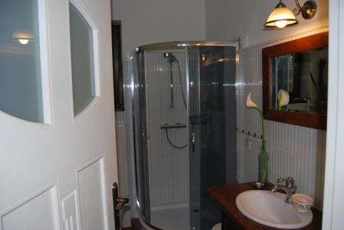 uma casa de banho com um chuveiro e um lavatório. em Pokoje nad Młynem em Stryków