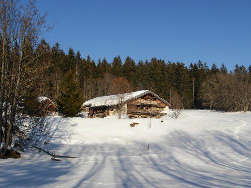 冬のChalet devant le boisの様子