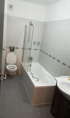 Ένα μπάνιο στο Apartment partia Clabucet