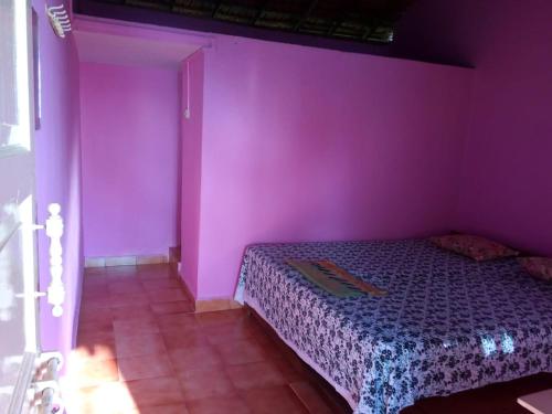 a bedroom with purple walls and a bed in a room at Om Ganesh Guest House Cliffside in Arambol