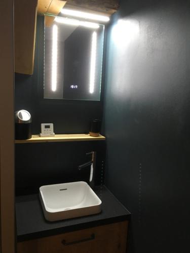 a bathroom with a white sink and a mirror at Les Gîtes du Racème in Blienschwiller