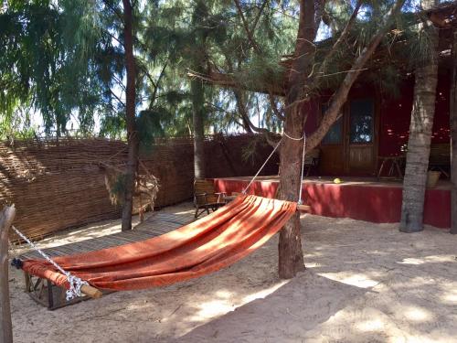 a hammock tied to a tree on the beach at Gîte du Lac in Niaga