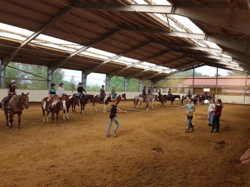 Huéspedes de Chrom Ranch Reiterhof