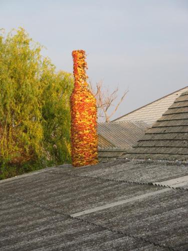 a bottle on the roof of a house at Stieglerhof KG in Illmitz