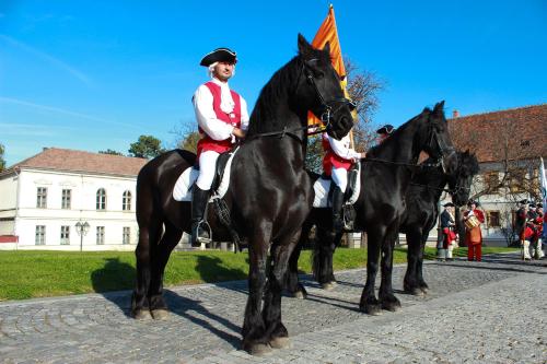 people riding on the backs of horses at Hotel Medieval in Alba Iulia