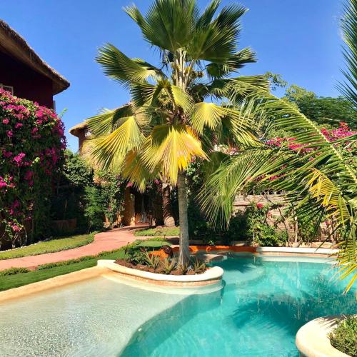 Villa Les CoCotiers – Photos 4