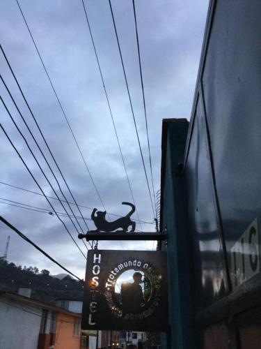 a sign with a cat on the side of a building at Trotamundo Oaxaca Hostel in Oaxaca City