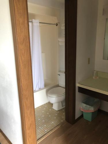 a bathroom with a white toilet and a shower at Neva Jean Motel in Marshfield
