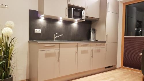 a kitchen with a sink and a microwave at Apart Luneta in Ladis