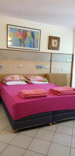 Shefer Guesthouseにあるベッド