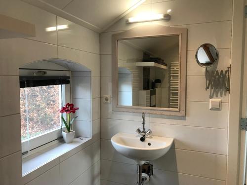 a bathroom with a sink and a mirror and a window at Vijverhoef in Ulicoten