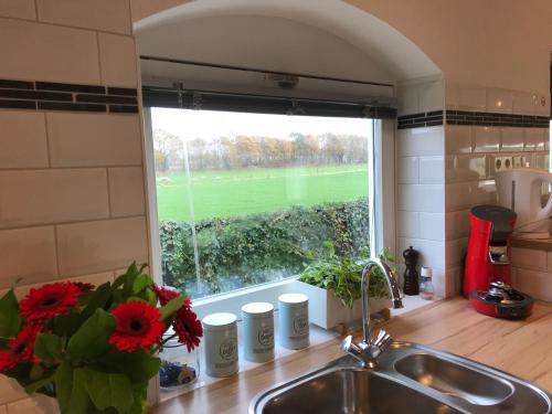 a kitchen sink with a window overlooking a golf course at Vijverhoef in Ulicoten