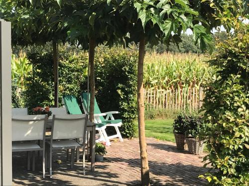 a group of chairs and a table under a tree at Vijverhoef in Ulicoten