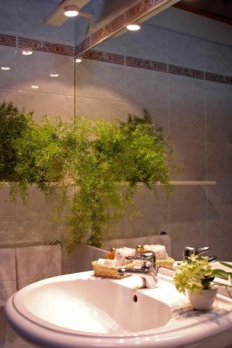 a bathroom with a white sink and a mirror at Hotel L'Ultimo Mulino in Bannia