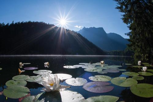 a lake with lily pads and the sun in the background at Easy Living Apartment Ötztal in Sautens