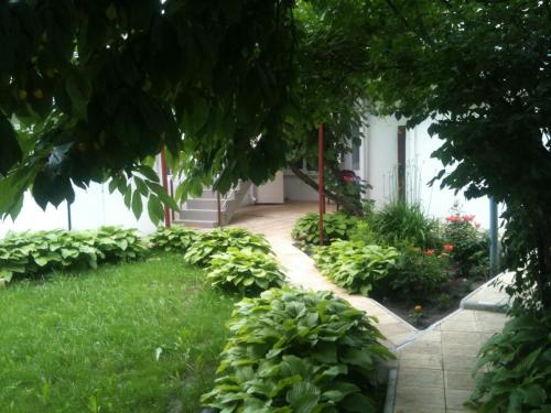 ogród z zielonymi roślinami i chodnikiem w obiekcie Hotel Lidia w Kiszyniowie
