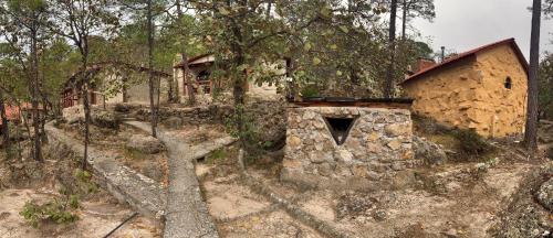 an old house in the middle of a forest at Hotel Mansion Tarahumara in Areponapuchi