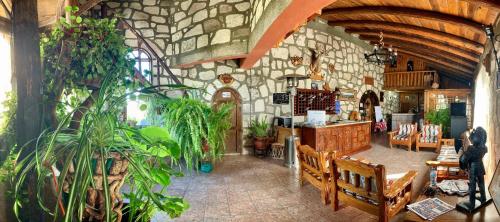 um restaurante com um monte de vasos de plantas num edifício em Hotel Mansion Tarahumara em Areponapuchi