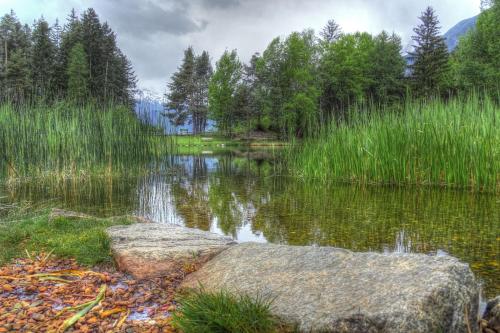 a pond with a large rock in the middle at Hotel Bruggner Stub`n in Landeck