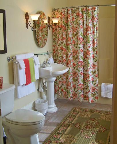a bathroom with a sink and a toilet and a shower curtain at Lyndon House Bed & Breakfast in Lexington