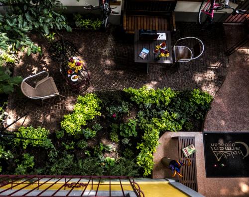 an overhead view of a garden with a table and chairs at Chalet del Carmen, Coyoacán in Mexico City