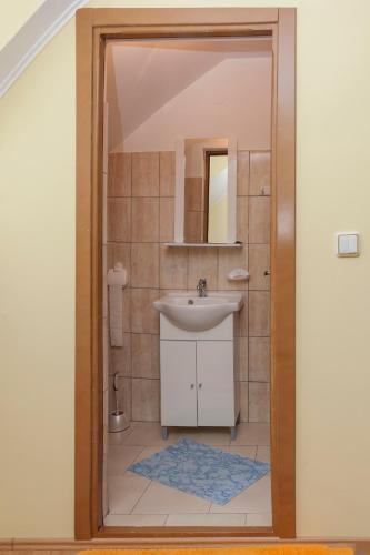 a bathroom with a sink and a mirror at Pensiunea Radu in Cisnădie