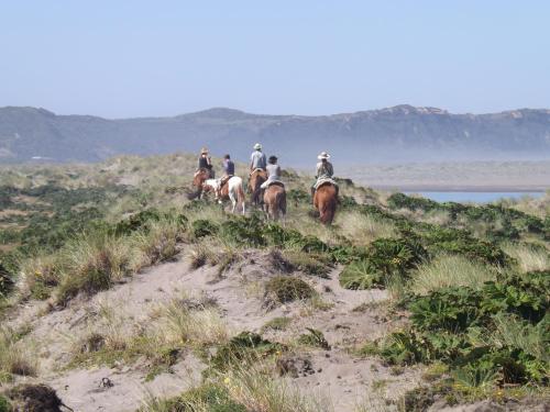 a group of people riding horses down a hill at Palafito Cucao in Cucao