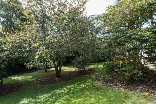 a garden with trees and green grass and a field at Kauri Park Motel in Kerikeri