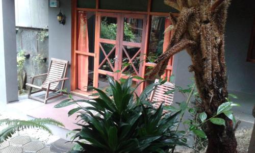 a porch with a chair and a plant in front of a door at King Fern Cottage in Nuwara Eliya