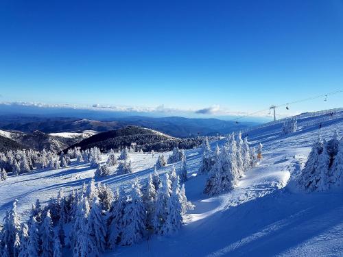 a snow covered slope with trees and a ski lift at Milmari M18 Kopaonik in Kopaonik