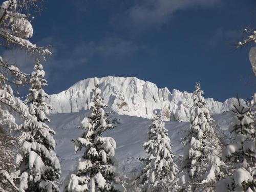 uma montanha coberta de neve com árvores em primeiro plano em Hotel Albe em Rocca Pietore