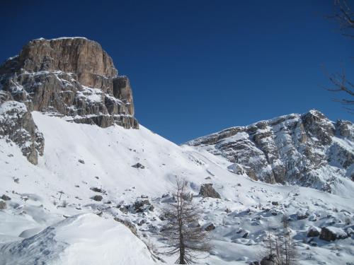 a mountain covered in snow with a tree at Hotel Albe in Rocca Pietore