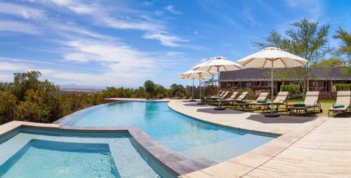 a swimming pool with chairs and umbrellas on a patio at Garden Route Game Lodge in Albertinia