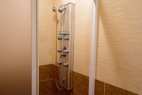 La salle de bains est pourvue d'une cabine de douche avec des accessoires en argent. dans l'établissement Hongfu Elegant Business Hotel, à Zhongli