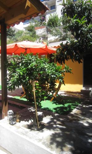 a tree in front of a building with an umbrella at Casas Botelho Elias in Pinhão