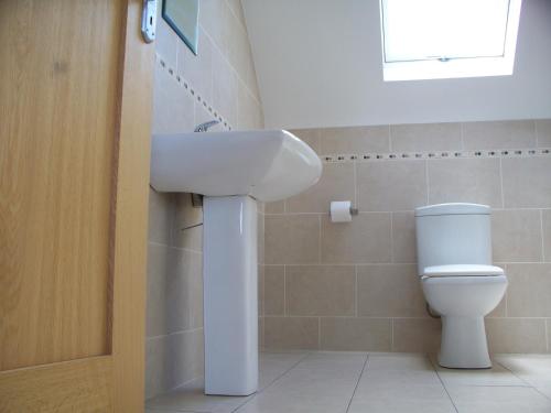 a bathroom with a sink and a toilet at Blackberry Lodge Accommodation in Doolin